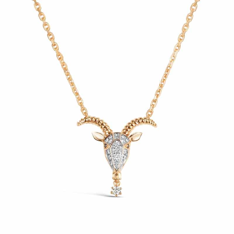 Capricorn-Zodiac-Necklace.jpg