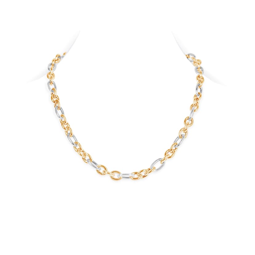 Double-Color-Chain-Necklace.jpg